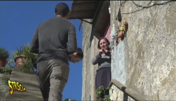 La triste fattoria