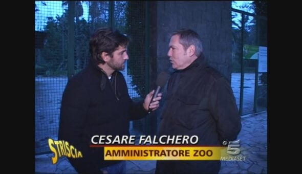 Lo zoo di Napoli