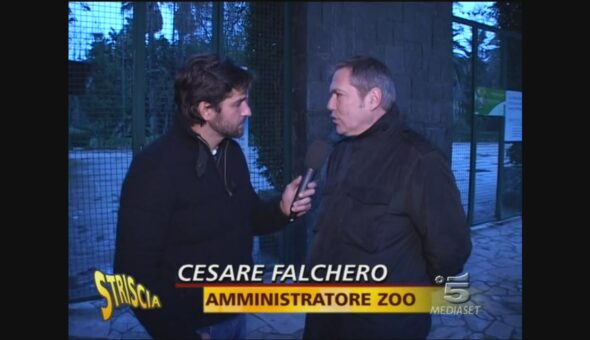 Lo zoo di Napoli