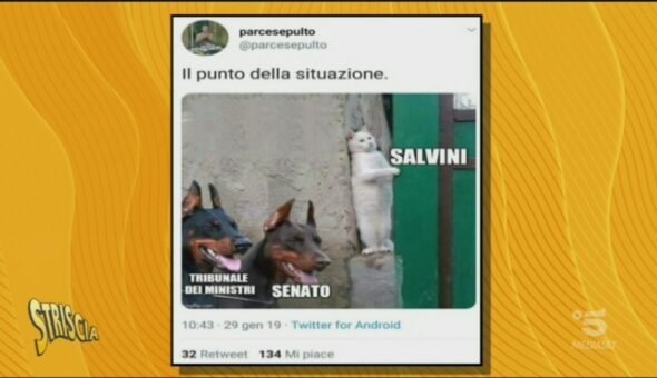 La Satira Web su Salvini