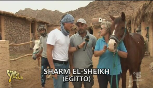 Ricovero per animali a Sharm El-Sheikh