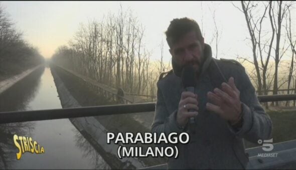 Moria dei pesci del Naviglio