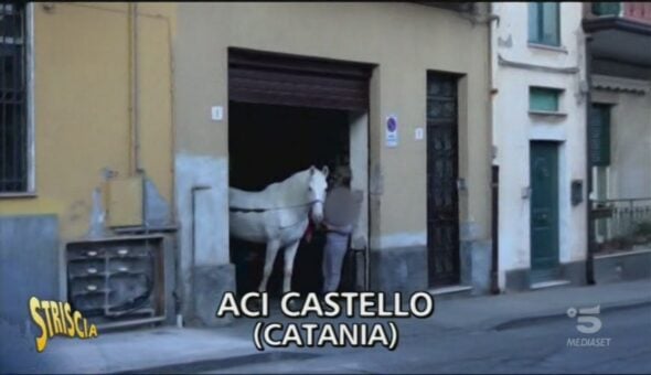 Il cavallo in garage