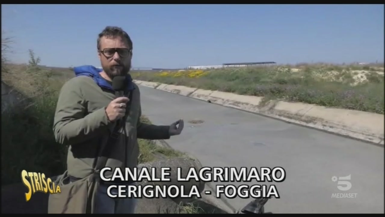 la notizia web di cerignola