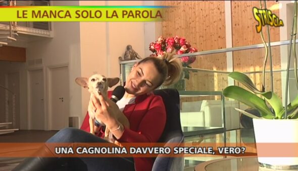 Un cane speciale