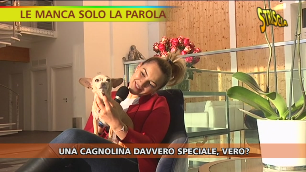 Un cane speciale Striscia la notizia
