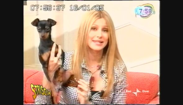 Willy presenta le gaffes canine in tv