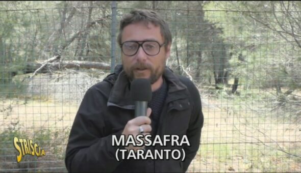 Aggiornamenti sul boschetto di Massafra