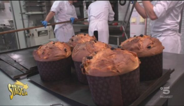 Il Panettone di Besuschio a Striscia