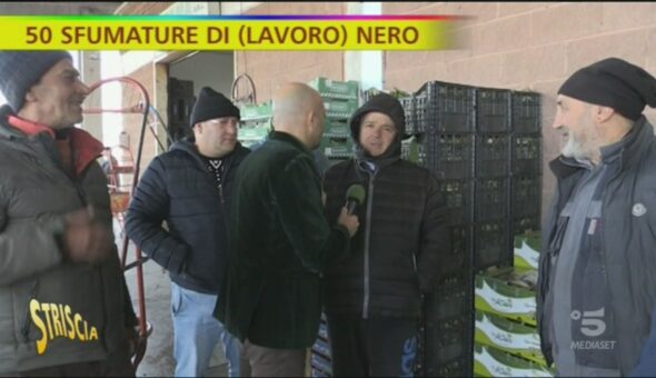 Lavoro nero al mercato di San Tammaro