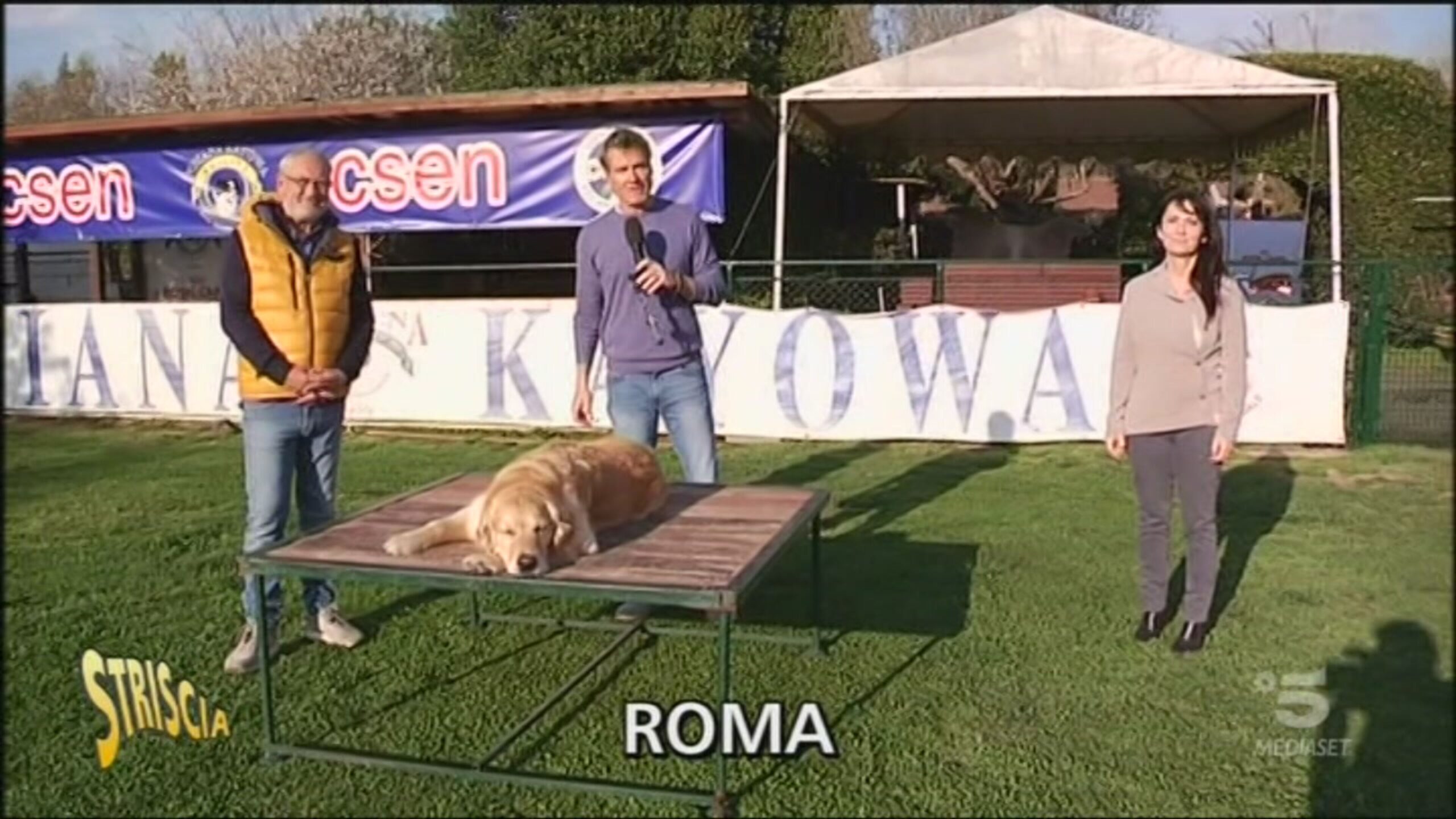 Coronavirus, i consigli del veterinario per chi ha un cane Striscia