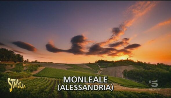 Il Timorasso di Monleale, un vino da conoscere