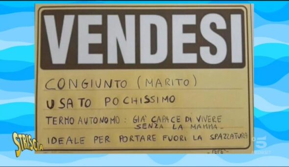 Accessi nei negozi fantasiosi, i cartelli più divertenti