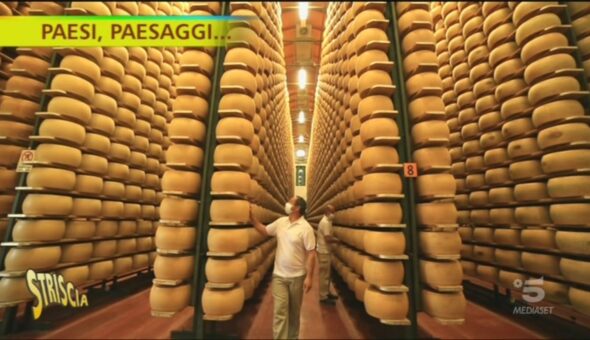 Nelle terre del Parmigiano, tutto quello che c'è da sapere