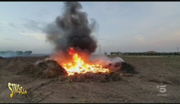 Roghi e discariche illegali a Foggia