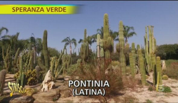 Il New Mexico a Pontinia (Latina) grazie a un vivaio