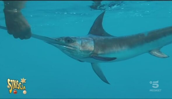 La lunga rotta, il documentario da vedere