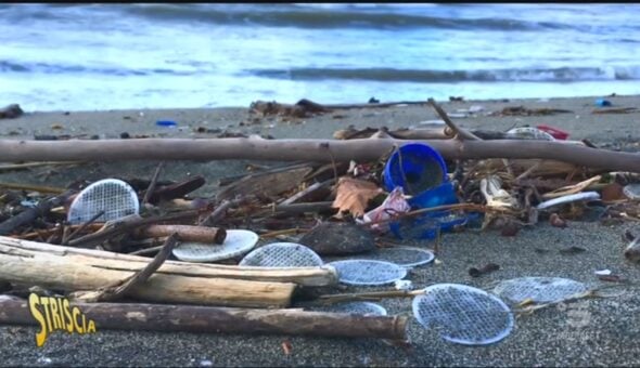 Dischetti di plastica sulle spiagge, da dove arrivano?