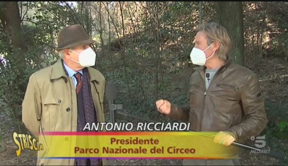 Parco del Circeo, brutte notizie per i daini