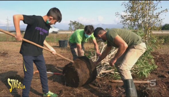 Piantumazione selvaggia, il progetto per l'ambiente