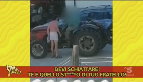 Violenza contro gli animali, il video dei maltrattamenti