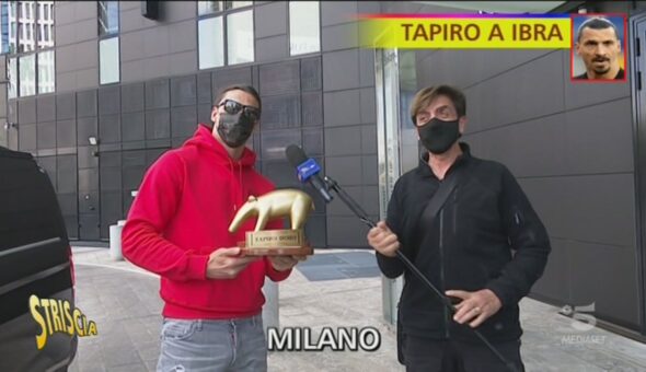 Ibrahimovic fuori dagli Europei, arriva il Tapiro d'oro