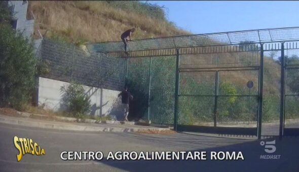 Centro Agroalimentare di Roma e lavoro nero