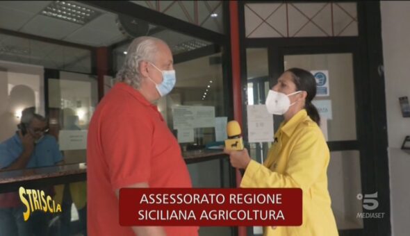 PNRR, bocciati tutti e 31 i progetti siciliani per l'agricoltura