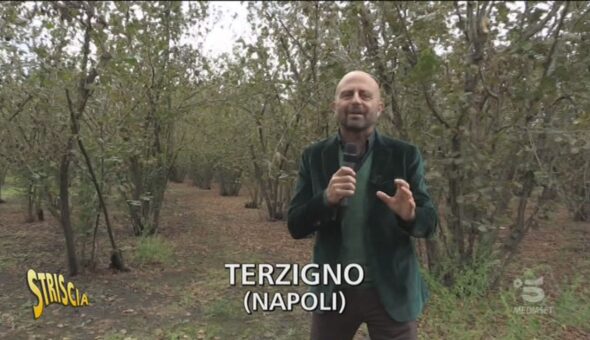 Parco nazionale del Vesuvio, ancora una discarica