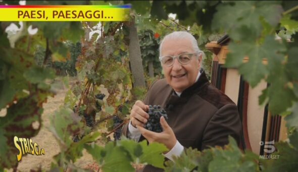 Canneto pavese, terra di vini e di tradizione