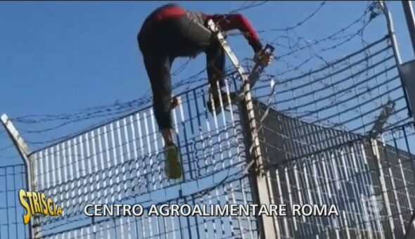 Centro Agroalimentare Roma, il ritorno