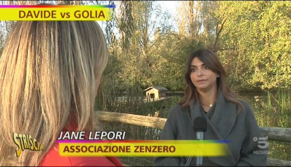 Unicef e Associazione Zenzero, la verità su Samira