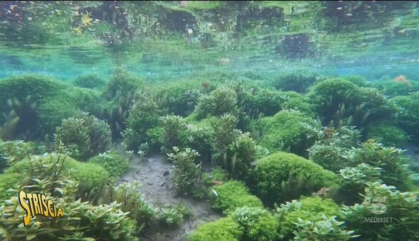 Torna Speranza verde: il Lago di Posta Fibreno