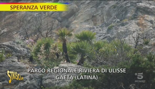 Speranza verde, la falesia di Gaeta