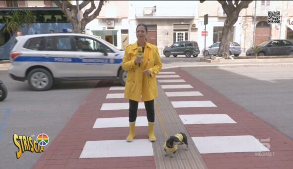 Trapani, le strisce pedonali rosso Gabibbo