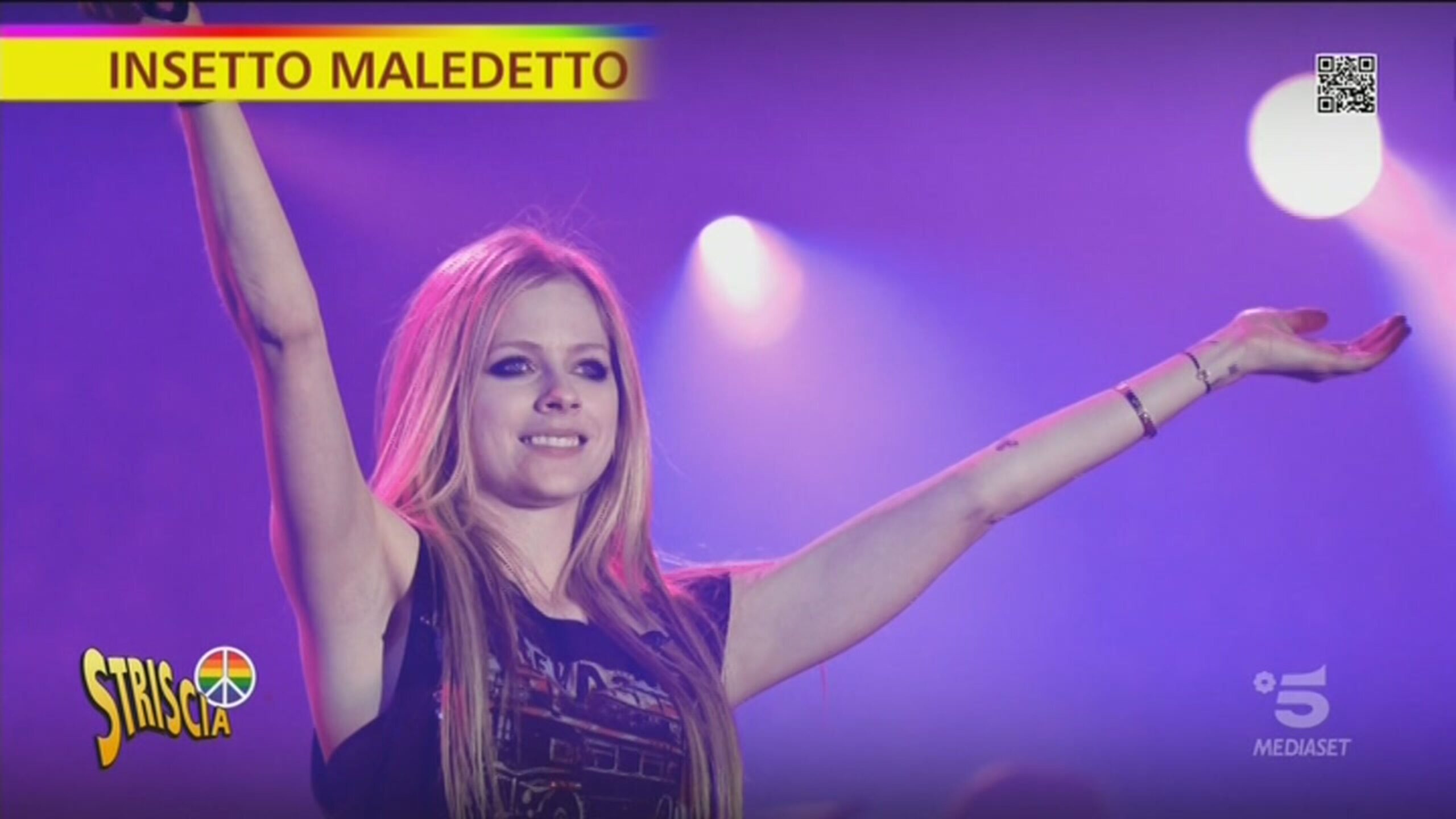 Malattia di Lyme, cos’è e quali sono i sintomi