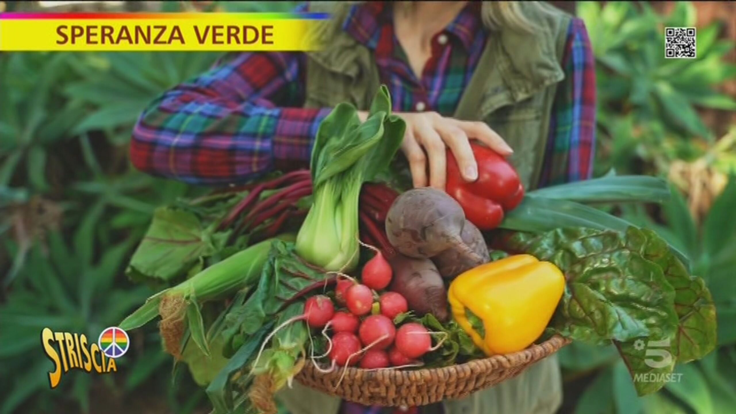 Una vita rurale è possibile, i fondi disponibili