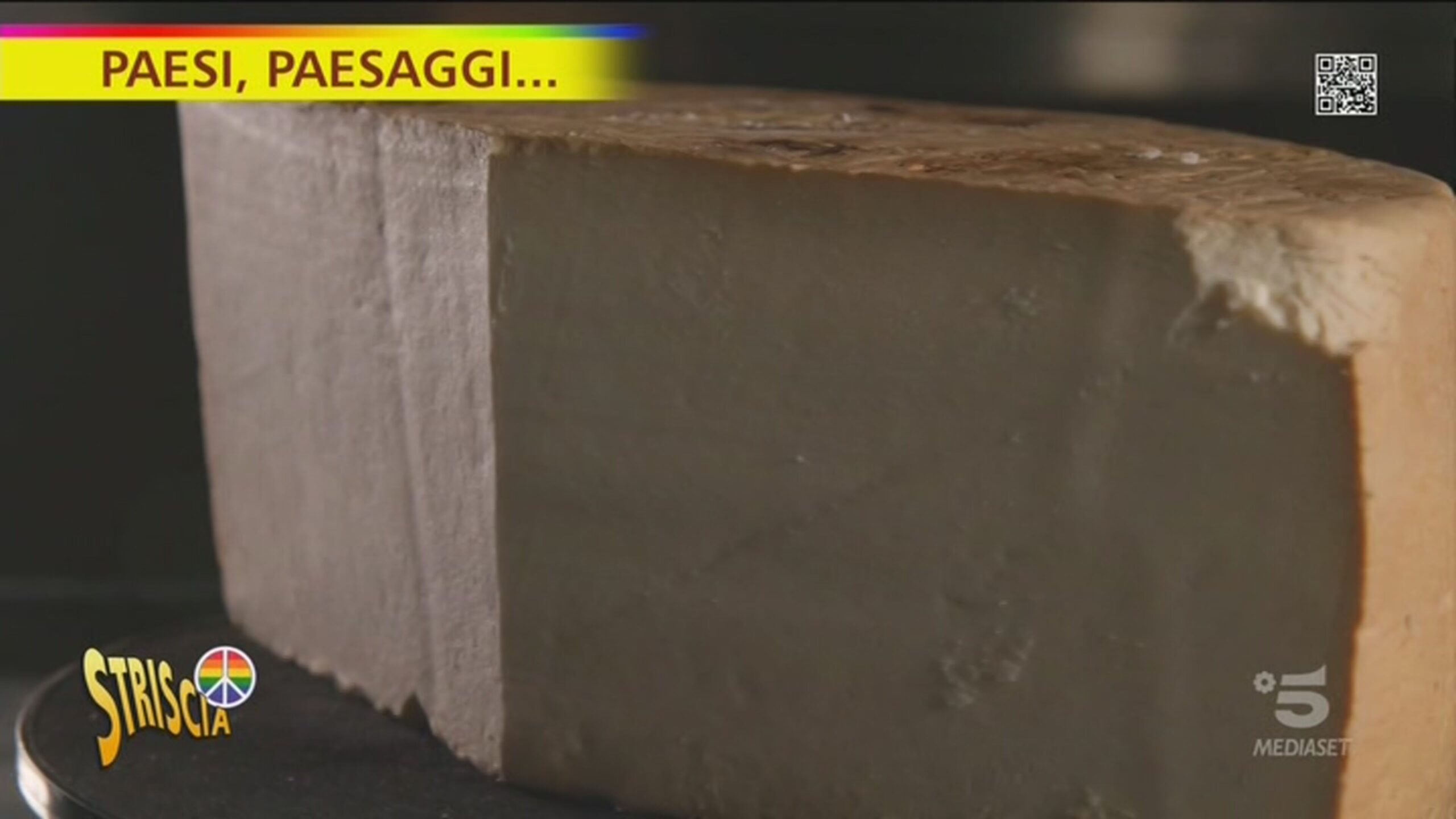 Le capre camosciate alpine di Taipana