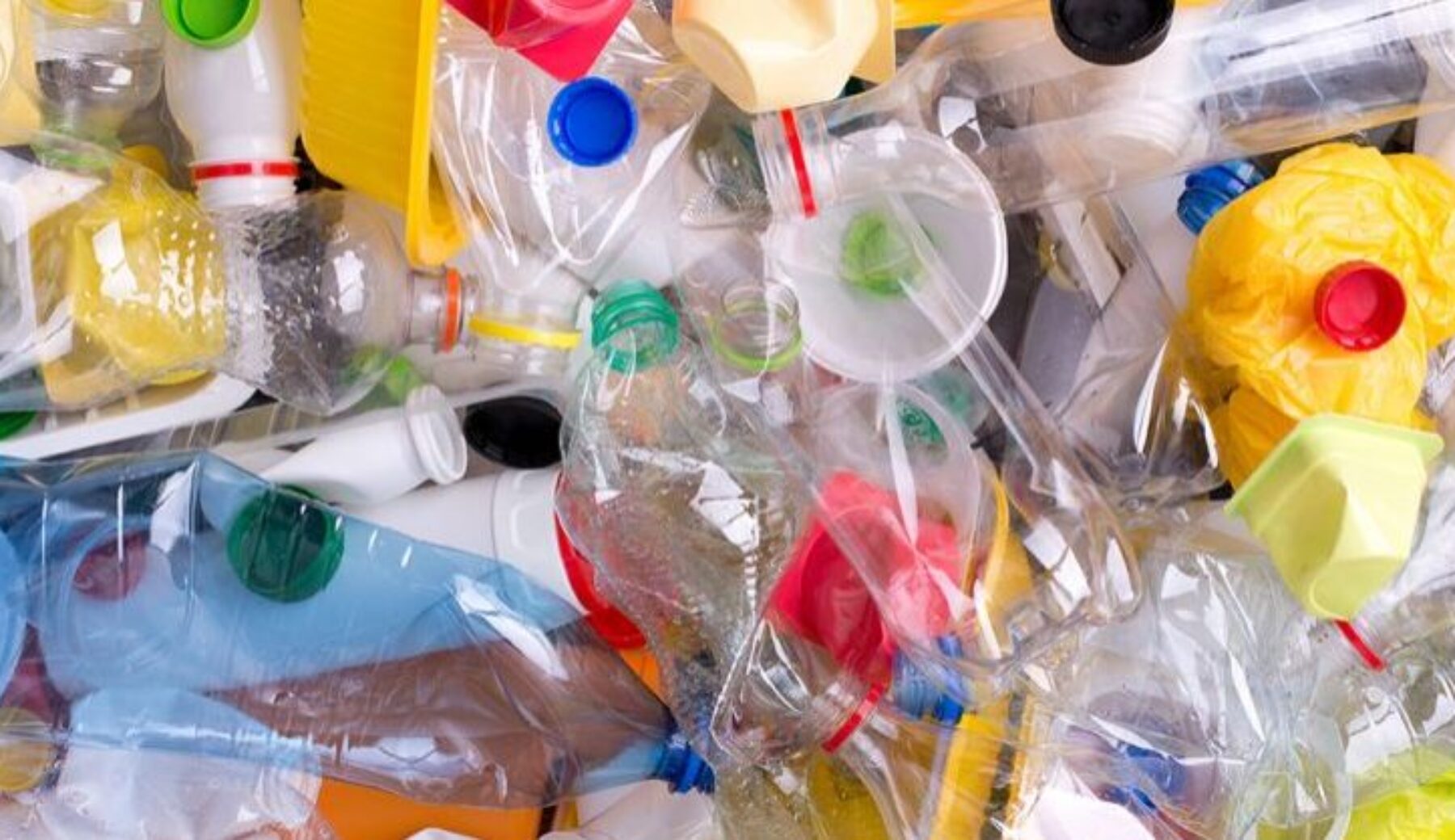 Le borse di tela inquinano di più di quelle di plastica