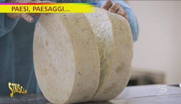 Paesi, paesaggi...Il gorgonzola di Ozzero