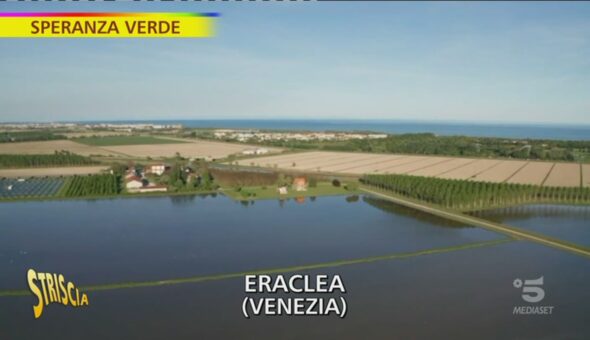 Speranza verde, le risaie di Eraclea