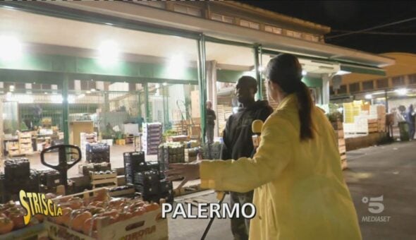 Palermo, i lavoratori invisibili del mercato ortofrutticolo