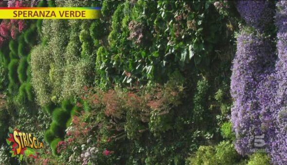 Con la riduzione degli spazi arrivano i giardini verticali