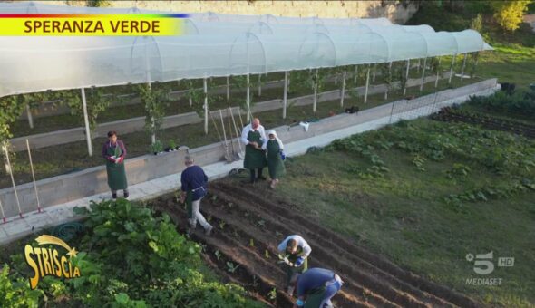 La terra stimola, piantare frutta per stare meglio