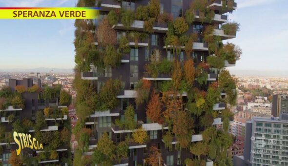 Il bosco verticale a Milano, casa degli alberi e degli uomini