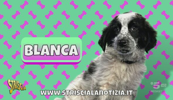 Il popolo di Striscia ha scelto: si chiama Blanca