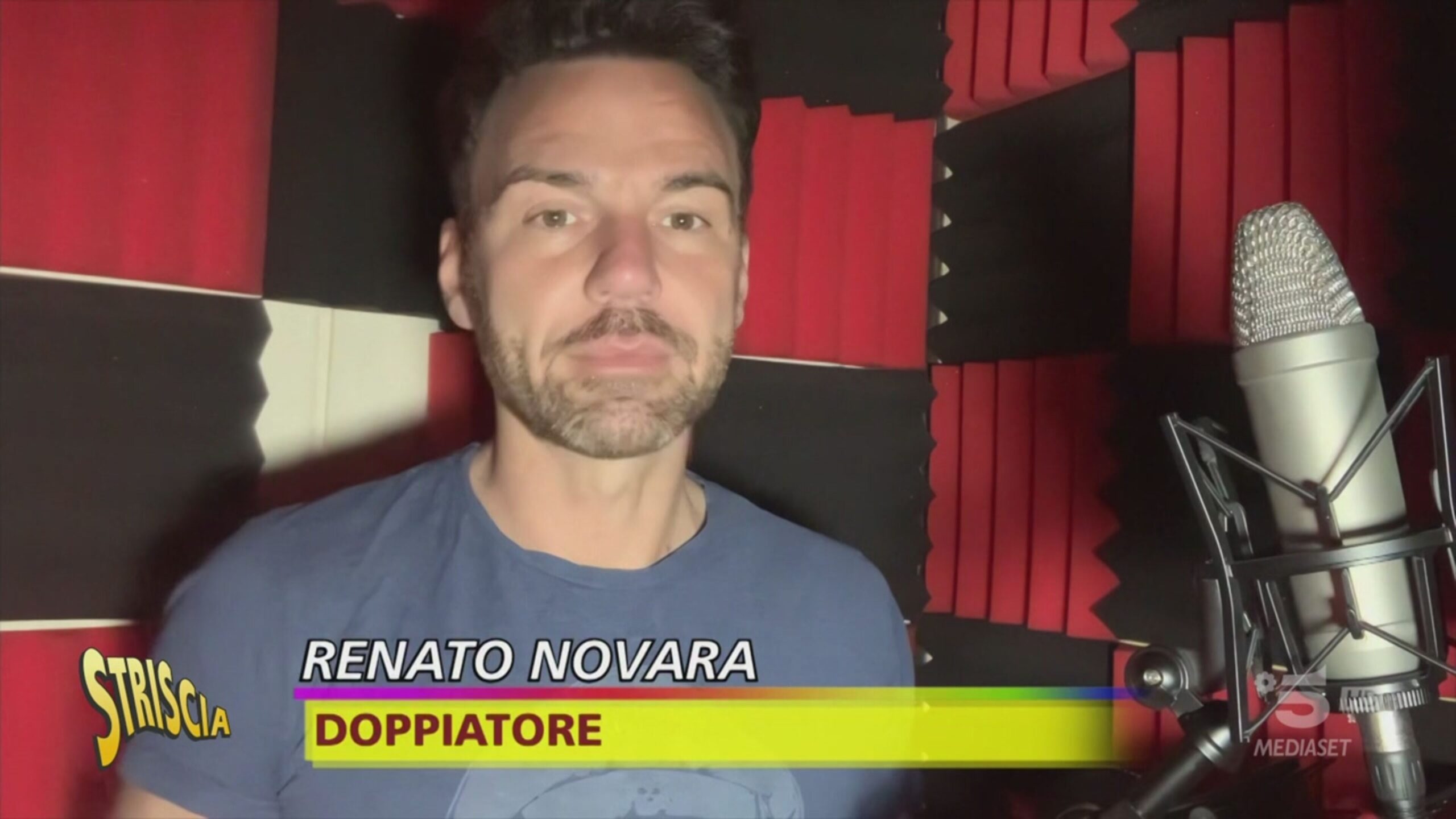 I ladri di voci che colpiscono su Internet: come difendersi?