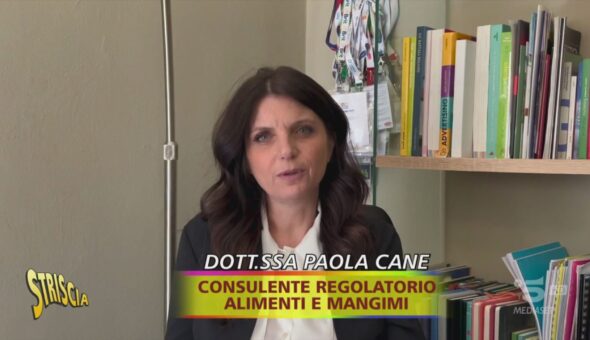 Cibo per animali sterilizzati: com'è e come dovrebbe essere