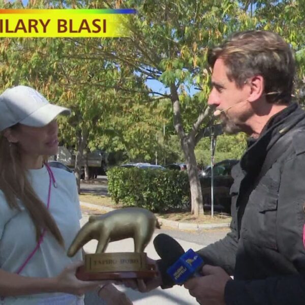 Tapiro d'oro a Ilary Blasi