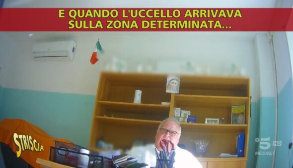 Il pranoradio guaritore perde il pelo, ma non il vizio